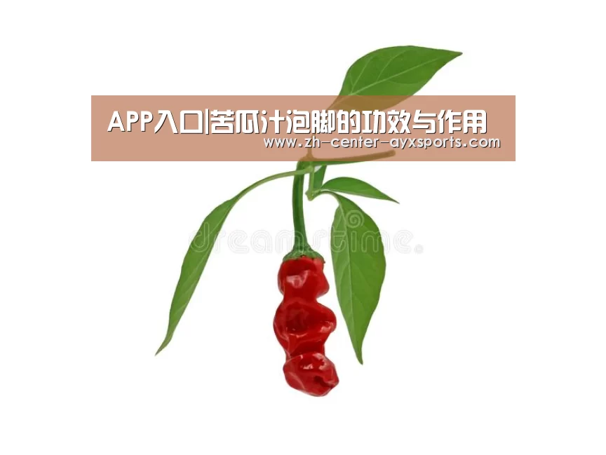 APP入口|苦瓜汁泡脚的功效与作用(图1) 爱游戏下载